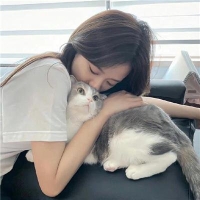 社会学家和小熊